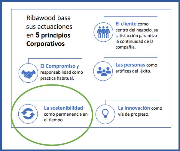 La economía circular-Principio corporativo de Ribawood