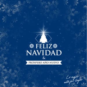 Felicitación Navidad 2020-Ribawood