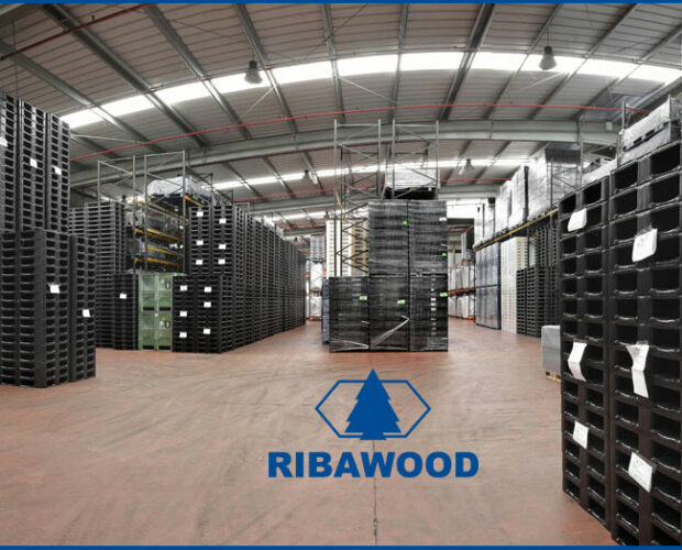 Ribawood-Fabricantes de Palets de plástico